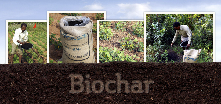 Biochar
