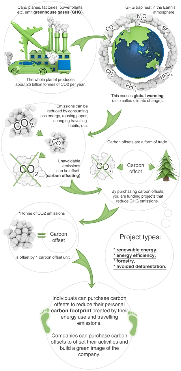 Functions of Carbon Offsets